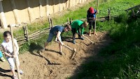 Archeopark Všestary