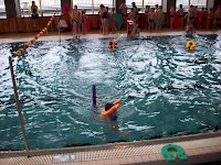 Plavecký výcvik v Dobrušce