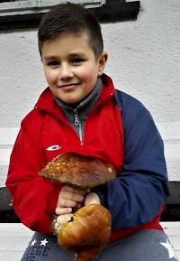 Martin Marek