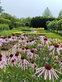 Botanicus u Ostré nad Labem