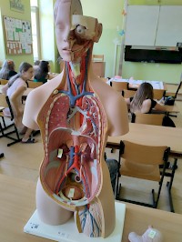 Soutěž o nejlepšího zdravoťáčka roku 2025