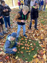 Podzimní mandaly z listí