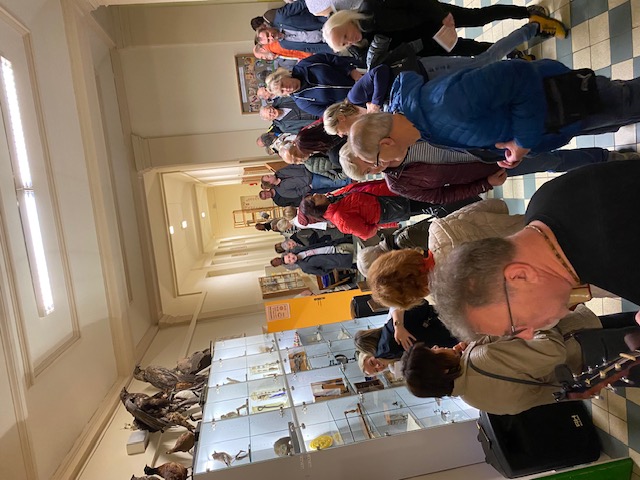 Ohlédnutí za druhou výstavou k výročí naší školy: Prvorepublikový Ostrov