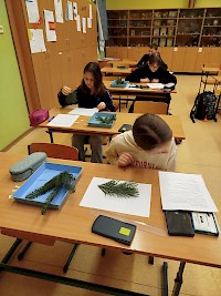 Biologická olympiáda - školní kolo