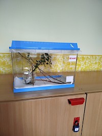 Martináč suraka na naší škole