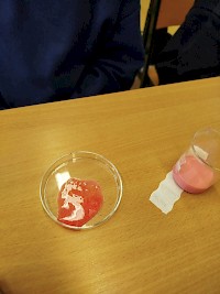 Objevujeme tajemství krevních skupin