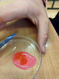 Objevujeme tajemství krevních skupin